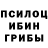 Псилоцибиновые грибы Cubensis Edson Claro