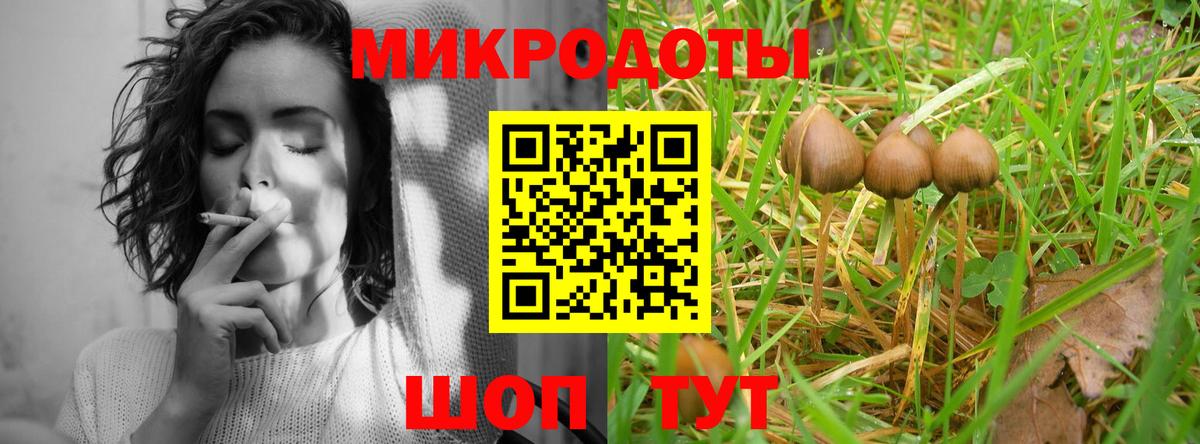 Псилоцибиновые грибы Magic Shrooms Камень-на-Оби