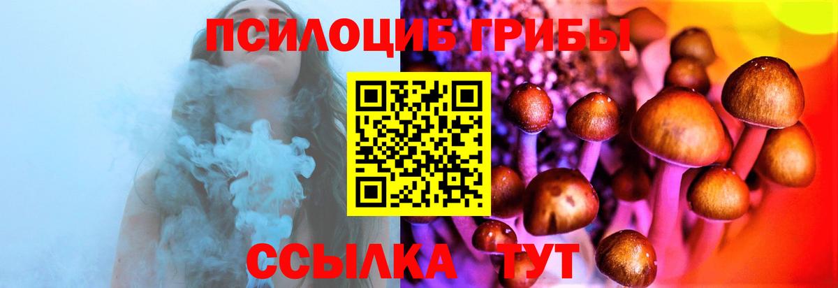 Галлюциногенные грибы прущие грибы  наркошоп  Камень-на-Оби  Вход с VPN 